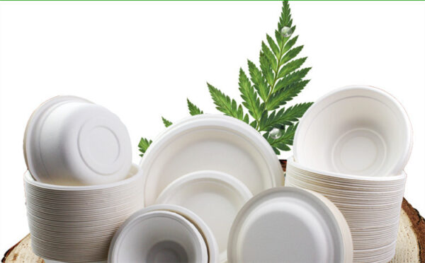 Eco-friendly Thickened Secondary Paper Plate, Barbecue Meal Paper Plate - Image 2
