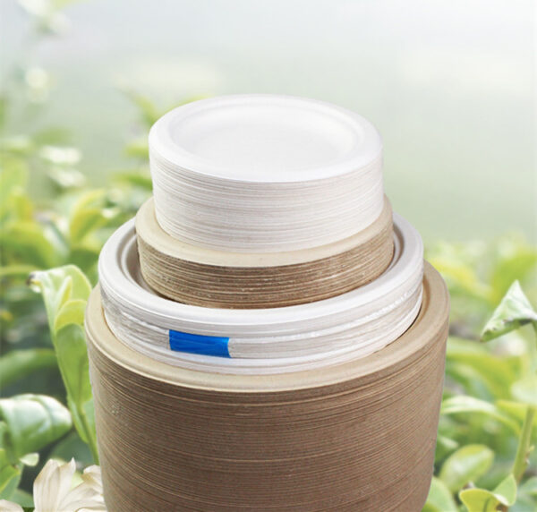 Eco-friendly Thickened Secondary Paper Plate, Barbecue Meal Paper Plate - Image 4